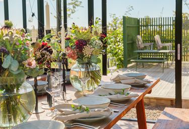 Duket for fest i Sandras drivhus