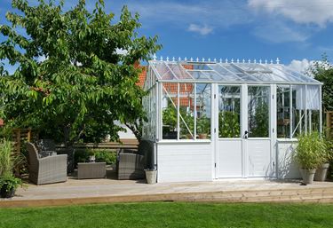 Miljøbilde av drivhuset Gothic 236, hvor drivhuset er plassert på et tredekke og fylt med planter