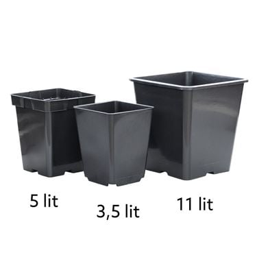 Tomatpotter 3,5 liter, 5 liter og 11 liter i et sammenligningsbilde