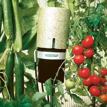 Dryppvanning () Dryppvanning