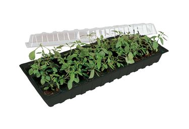 Minigro med 30 krukker - Forkultivering