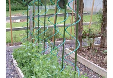 Rank-o-twist for tomatplanter - Dyrkningsbedd og dyrkingskasse