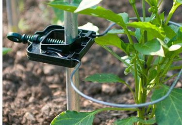 Rank-o-flex for tomatplanter - Dyrkningsbedd og dyrkingskasse