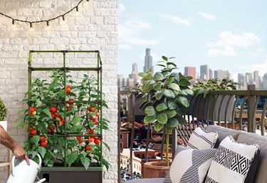 Espalier til dyrkingskassen Cityjungle - Dyrkningsbedd og dyrkingskasse