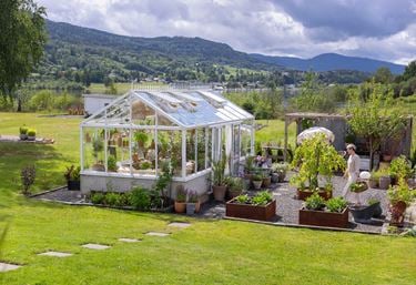 Eksempelbilde: Green Room Wall drivhus