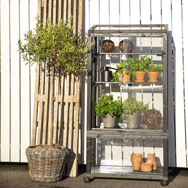 Terrassedrivhus furu svart - Minidrivhus